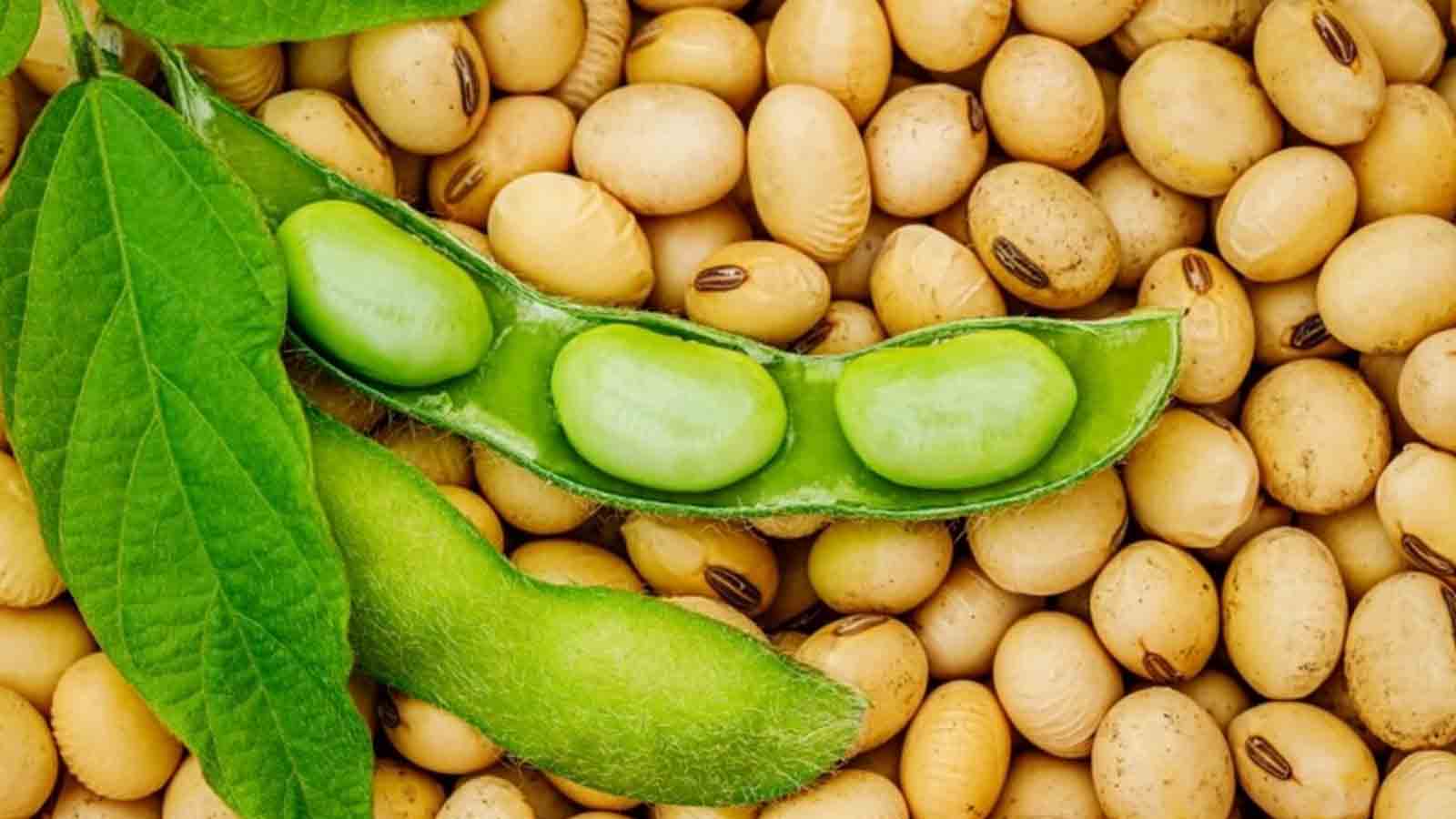 Quality in Production